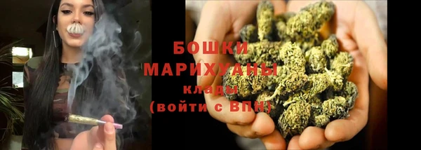 мдпв Дмитров