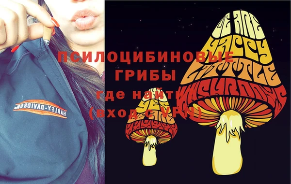 мескалин Дмитриев