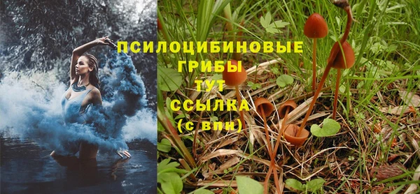 мдпв Дмитров