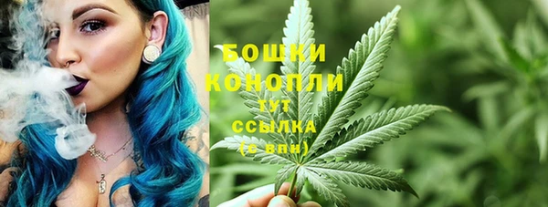 мдпв Дмитров